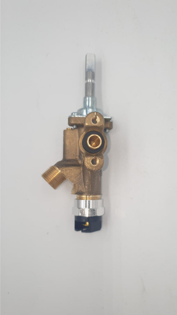 SP - VALVE 4# 0.3 TO SUIT BDFS905X (129711003198)