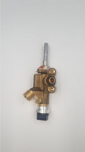 SP - VALVE 2# 0.46 TO SUIT BDFS905X (12971100003200)